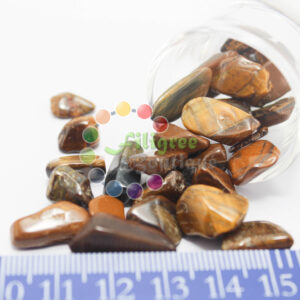 Natural Tiger Eye Beads, Undrilled/No Hole, Chips, 6~22x4~7x3~6mm, about 50g/bag