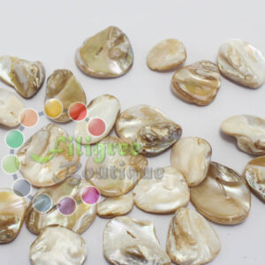 Shell Beads